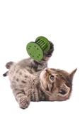 Mini Silindir Eğlenceli Renkli Sağlam Küçük Pati İzi Şekilli Kedi Oyuncağı - 8