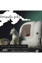 Kedi Kumu 100 Tozsuz 10 Lt - 2