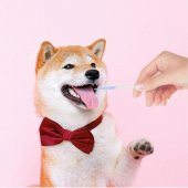 Dolar Kimya Pastör Pipet (Plastik) - 3 mL x 1000 ADET thumbnail 4