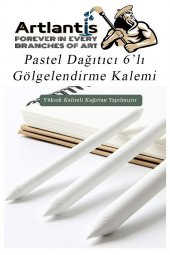 Karakalem Seti 16 Parça 1 Paket Gölgelendirme Kalemi Hamur Silgi Dereceli Kalem Kaynaştırma Kalemi Kara Kalem Dağıtıcı Kalem Kağıt Kalem - 2