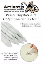 Karakalem Seti 16 Parça 1 Paket Gölgelendirme Kalemi Hamur Silgi Dereceli Kalem Kaynaştırma Kalemi Kara Kalem Dağıtıcı Kalem Kağıt Kalem - 4