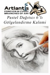 Karakalem Seti 16 Parça 1 Paket Gölgelendirme Kalemi Hamur Silgi Dereceli Kalem Kaynaştırma Kalemi Kara Kalem Dağıtıcı Kalem Kağıt Kalem - 5