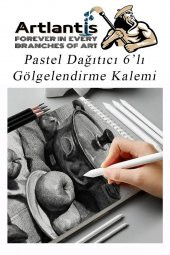 Karakalem Seti 16 Parça 1 Paket Gölgelendirme Kalemi Hamur Silgi Dereceli Kalem Kaynaştırma Kalemi Kara Kalem Dağıtıcı Kalem Kağıt Kalem - 6