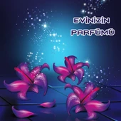 Bingo Fresh Yüzey Temizleyici 2,5 lt Masal Ekonomi Paketi 4'lü - 4