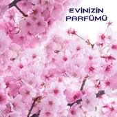 Bingo Fresh Yüzey Temizleyici 2,5 lt Pembe Düşler Ekonomi Paketi 4'lü - 4