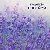 Bingo Fresh Yüzey Temizleyici 2,5 lt Lavanta Çiçekleri Ekonomi Paketi4'lü - 4