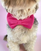 Pinky Pie Köpek Papyonu Kurdela - 5