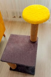 Katlı Kedi Tırmalama Tahtası 80cm - 2