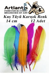 Kuş Tüyü Renkli 12 Li 1 Paket 14 cm Tüy Karışık Renk Hobi Okul Öncesi Kreş Anasınıfı Kuş ve Kaz Tüyü Renkli - 1