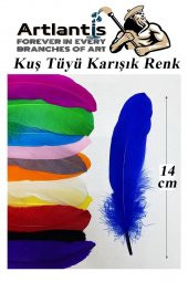 Kuş Tüyü Renkli 12 Li 1 Paket 14 cm Tüy Karışık Renk Hobi Okul Öncesi Kreş Anasınıfı Kuş ve Kaz Tüyü Renkli - 2