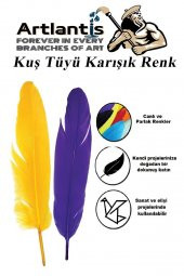 Kuş Tüyü Renkli 12 Li 1 Paket 14 cm Tüy Karışık Renk Hobi Okul Öncesi Kreş Anasınıfı Kuş ve Kaz Tüyü Renkli - 3