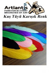 Kuş Tüyü Renkli 12 Li 1 Paket 14 cm Tüy Karışık Renk Hobi Okul Öncesi Kreş Anasınıfı Kuş ve Kaz Tüyü Renkli - 4