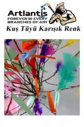 Kuş Tüyü Renkli 12 Li 1 Paket 14 cm Tüy Karışık Renk Hobi Okul Öncesi Kreş Anasınıfı Kuş ve Kaz Tüyü Renkli - 5