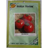 Bursa Tohum Burcu Domates 25 gr 2 Paket - 2