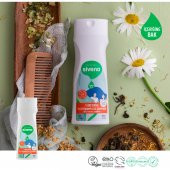 Siveno %100 Doğal Fitokompleks Şampuan 7 Değerli Bitki Yoğun Dökülme Karşıtı Dolgunlaştırıcı 300 ml - 3