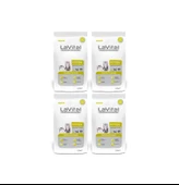 Lavital Somon Balıklı Yavru Kedi Maması 1,5 Kg*4 Adet - 1