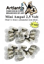 Mini Ampul 2,5 Volt 25 Adet 1 Paket Küçük Elektrik Deney Ampulü 2.5 v Okul Sınıf Elektrik Devre Deney Ampulü - 1