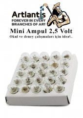 Mini Ampul 2,5 Volt 25 Adet 1 Paket Küçük Elektrik Deney Ampulü 2.5 v Okul Sınıf Elektrik Devre Deney Ampulü - 2
