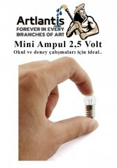 Mini Ampul 2,5 Volt 25 Adet 1 Paket Küçük Elektrik Deney Ampulü 2.5 v Okul Sınıf Elektrik Devre Deney Ampulü - 3