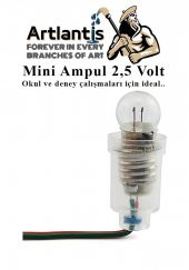 Mini Ampul 2,5 Volt 25 Adet 1 Paket Küçük Elektrik Deney Ampulü 2.5 v Okul Sınıf Elektrik Devre Deney Ampulü - 4
