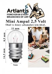Mini Ampul 2,5 Volt 25 Adet 1 Paket Küçük Elektrik Deney Ampulü 2.5 v Okul Sınıf Elektrik Devre Deney Ampulü - 5