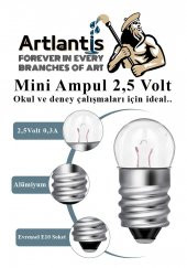 Mini Ampul 2,5 Volt 25 Adet 1 Paket Küçük Elektrik Deney Ampulü 2.5 v Okul Sınıf Elektrik Devre Deney Ampulü - 6