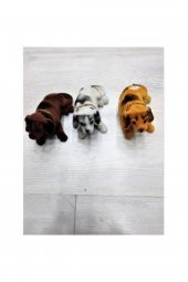 Kafa Sallayan Köpekler 3 Adet - 1