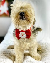 Santa Neo Köpek Papyonu Kurdela Tasma Yılabşı Noel - 1