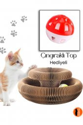 Kedi Tırmalama Oyuncağı / Sihirli Kedi Oyuncağı / Çıngıraklı Tırmalama Panosu - 1