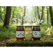 Kazdağı Lezzet Serisi (Çiçek Balı 500g- Çam Balı 500g-Krem Bal 500g) thumbnail 1