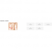 ORTHOLAND YÜN KORSE DEVE TÜYÜ thumbnail 2