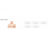 ORTHOLAND NELSON ÇENELİKLİ BOYUNLUK ML-0709 thumbnail 2