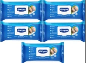 Canped Hasta Vücut Perine Temizleme Islak Mendil Havlu 48 Yaprak XL (5 Li Set) Plastik Kapaklı - 1