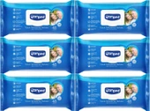 Canped Hasta Vücut Perine Temizleme Islak Mendil Havlu 48 Yaprak XL (6 Lı Set) Plastik Kapaklı - 2