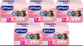 Canped Mesane Pedi Ultra L - Large - Büyük - Yoğun 50 Adet (5PK*10) - 1