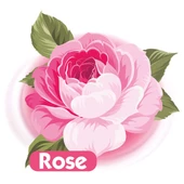 Baby Turco Islak Havlu Mendil 90 Yaprak Gül/Rose Plastik Kapaklı Tekli Pk - 3