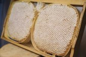 Bingöl Organik Karakovan Petek Bal 2 Li Kasnak 2700 Gr - 1