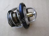 SYM GTS250 - JOYMAX250 - CRUISYM250  - MAXSYM 400 - WOLF 250 - JOYRIDE S200 TERMOSTAT - 1