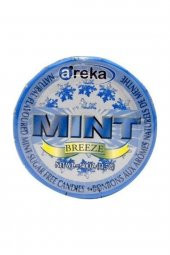 Mint Şeker Naneli 3lü Set - 1