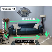 Mimoza Koltuk Takımı - 5