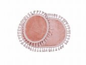 Orkide Home Dekoratif Modern Simirna Örgü Saçaklı 50x80 Oval Banyom Klozet Takımı - 6