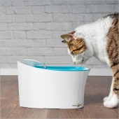 Süper Sessiz Motorlu Akar Sulu Kedi Köpek Kuş Su İçme Kabı Haznesi Çeşmesi Şelalesi Çeşmesi Musluğu - 4