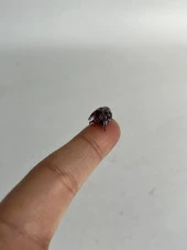 El Yapımı Mini Murano Cam Koyun Biblo A145-07 thumbnail 5