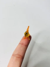 El Yapımı Mini Murano Cam Kuş Biblo A150-03 thumbnail 5