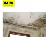 Bars Küf ve Rutubet Boyası - 4