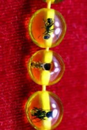 saattakı Karınca Fosilli Toz Kehribar Tesbih thumbnail 2