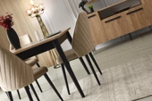 Mercan Modern MDF Yemek Odası Masa Sandalye Takımı - 3