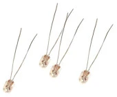 12 Volt Oto Teyp Ampulü - 2