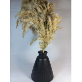 PAMPAS VAZOSU SİYAH - 4