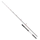 Ryuji Searider 180cm 60-180g 2 Parça Jig Kamışı thumbnail 1